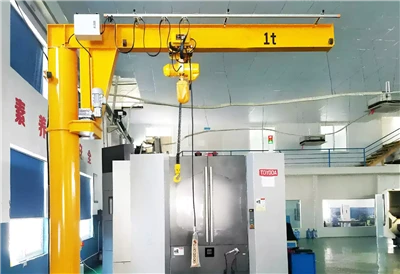 BZ Colonne Critilever Crane